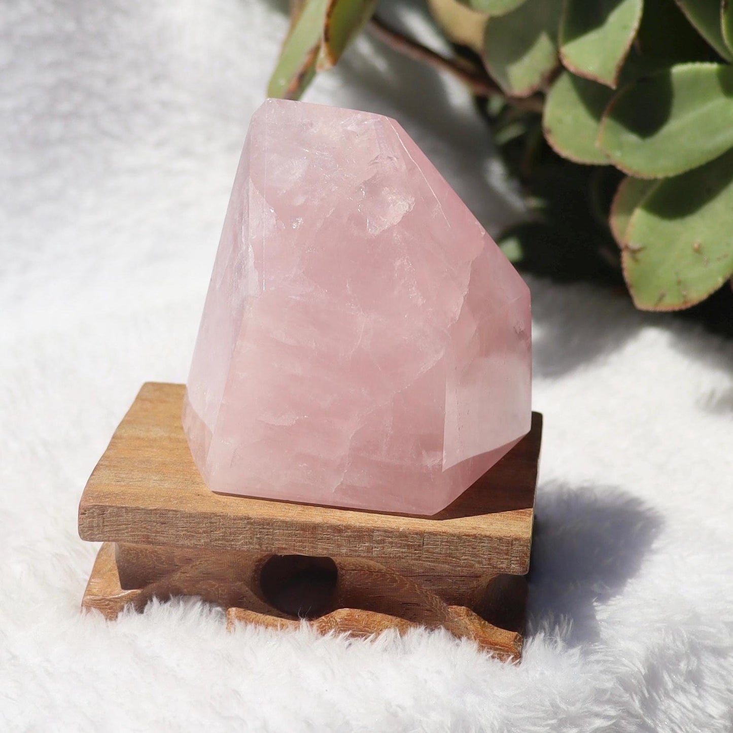 Brazilian Rose Quartz Free Form