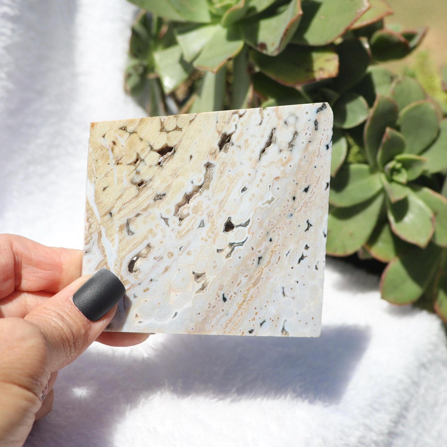 Ocean Jasper Slab 6th Vein