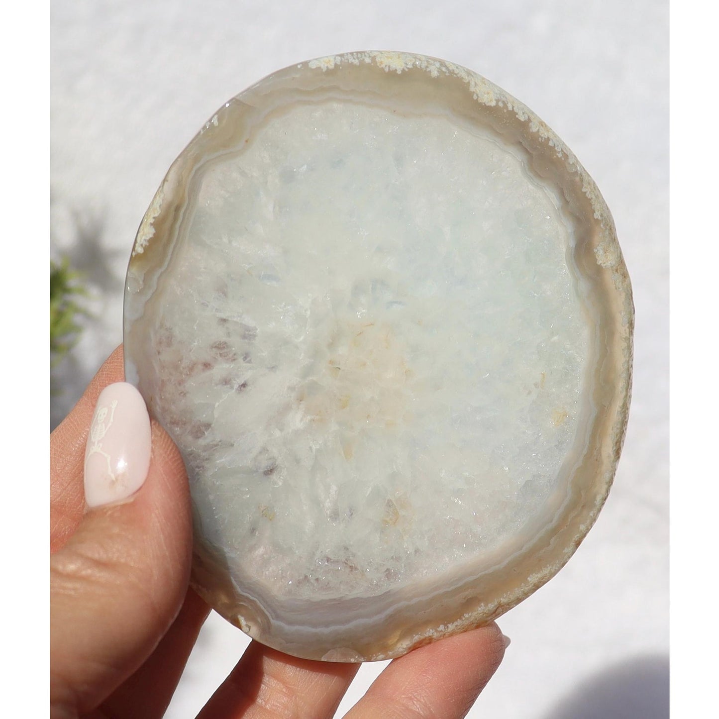 Agate Slice with Owl