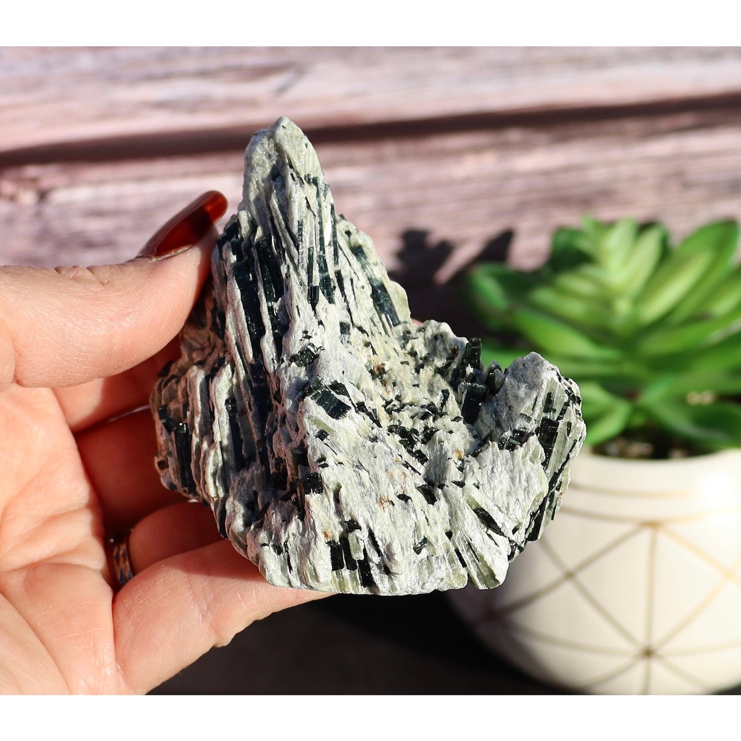 Actinolite Crystals in Matrix Specimen