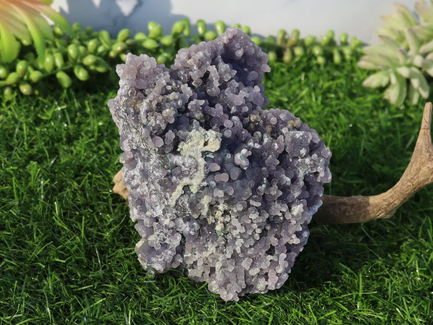 Druzy Grape Agate Specimen - Indonesia - Botryoidal Grape Agate