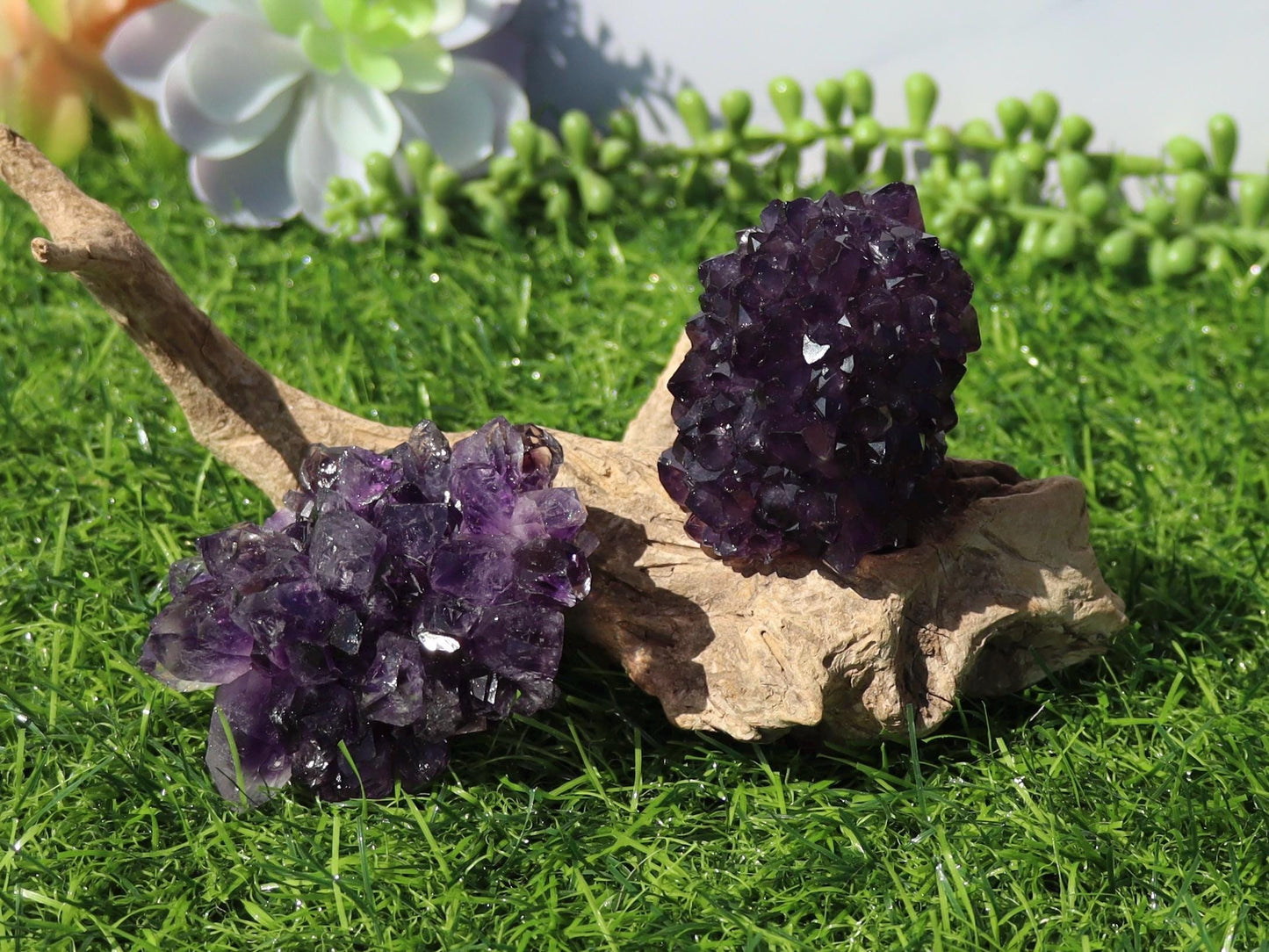 Amethyst Flower Cluster: Natural Purple Healing Crystal from Brazil