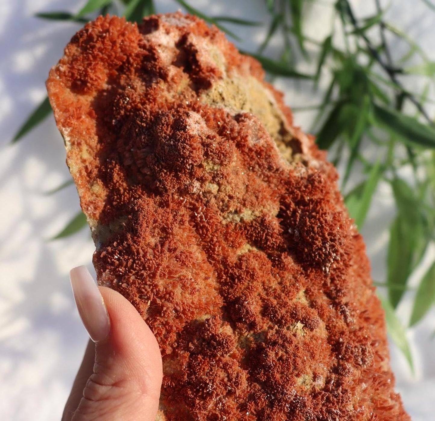 Large Red Calcite Specimen