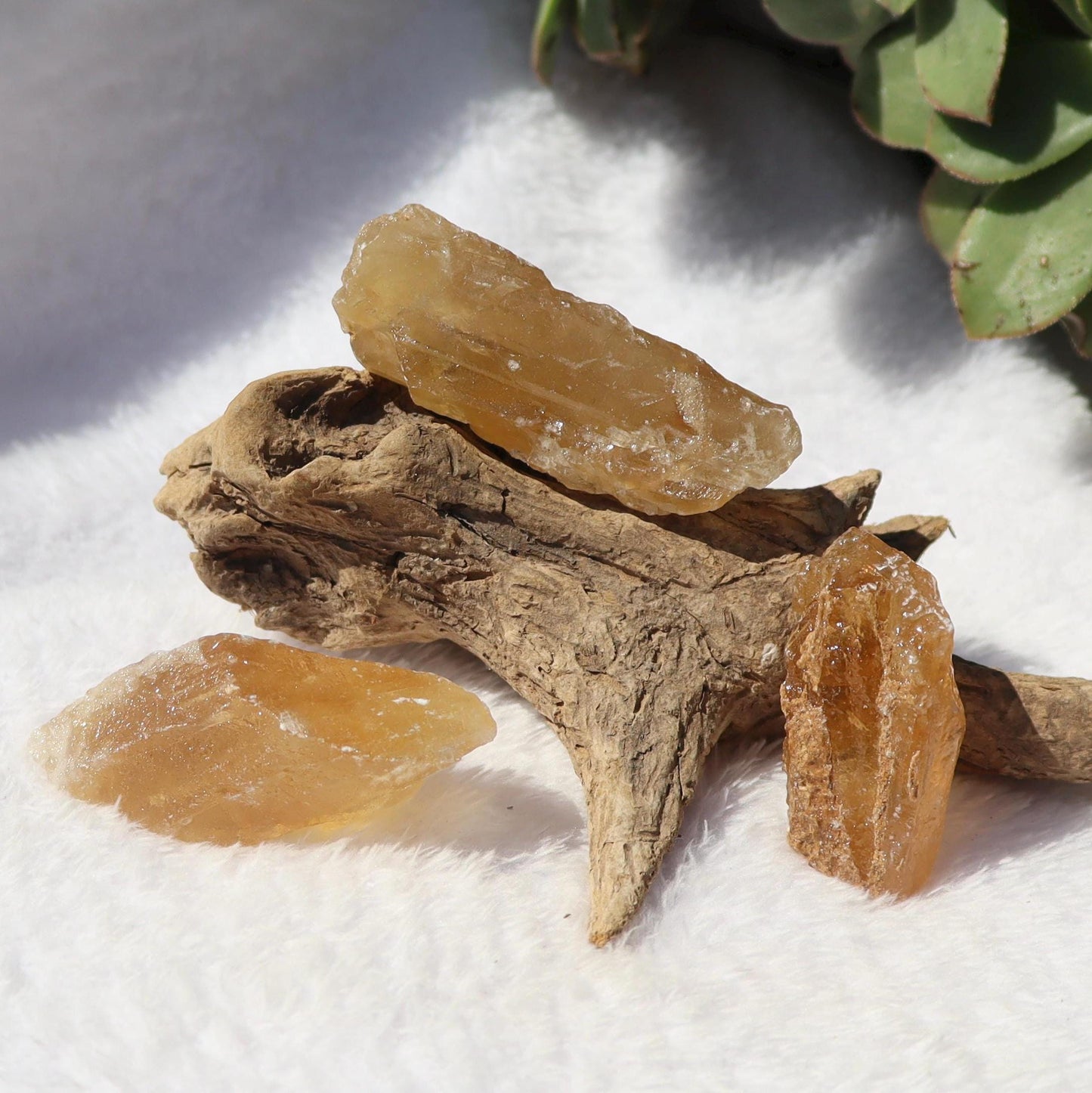 Raw Honey Golden Aragonite from Namibia YOU CHOOSE