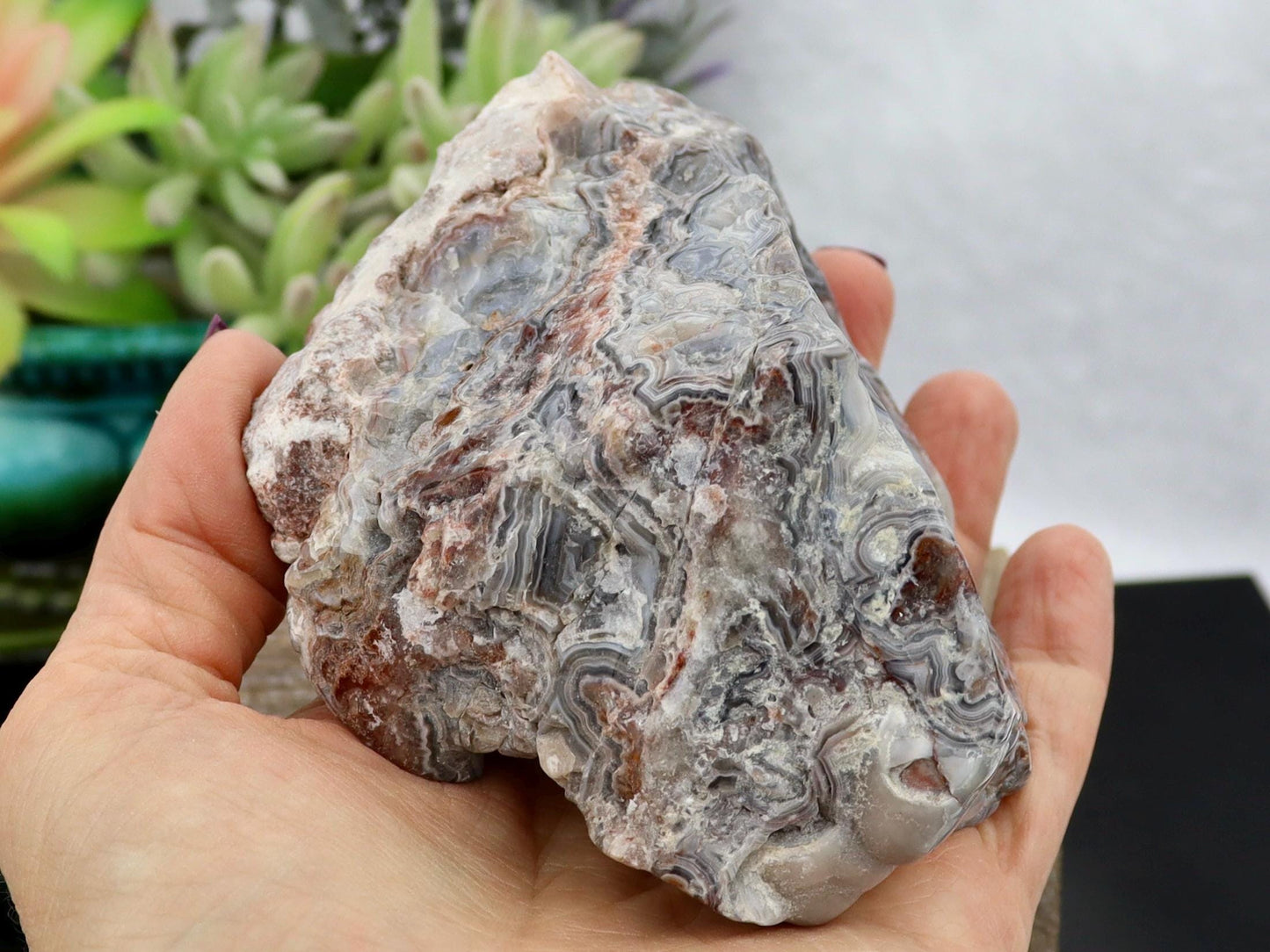 Semi-Polished Mexican Crazy Lace Agate Specimen