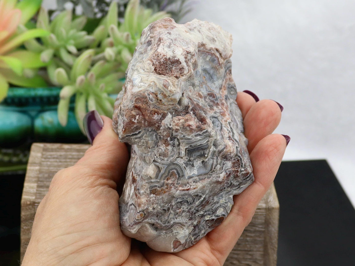 Semi-Polished Mexican Crazy Lace Agate Specimen