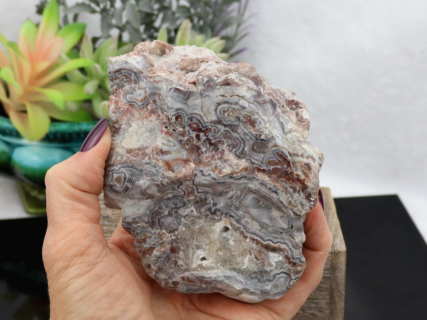 Semi-Polished Mexican Crazy Lace Agate Specimen
