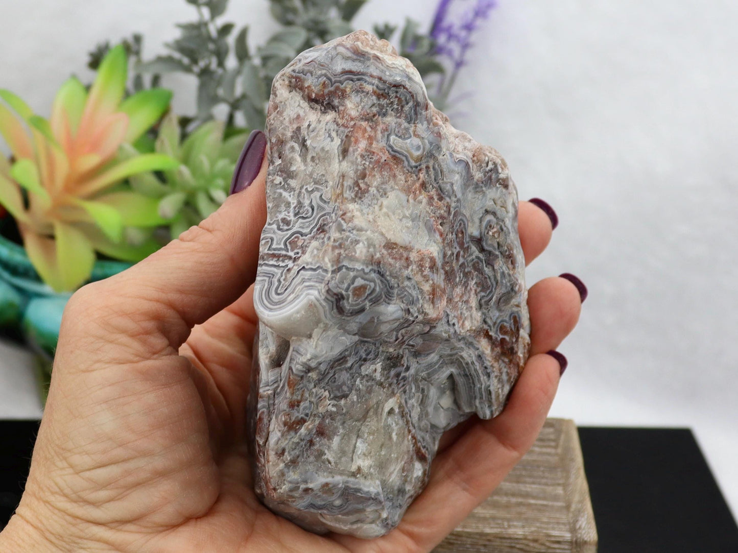 Semi-Polished Mexican Crazy Lace Agate Specimen