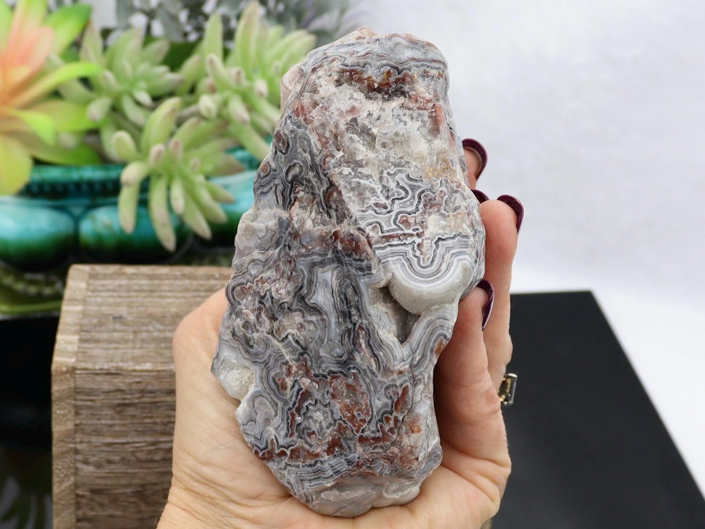 Semi-Polished Mexican Crazy Lace Agate Specimen