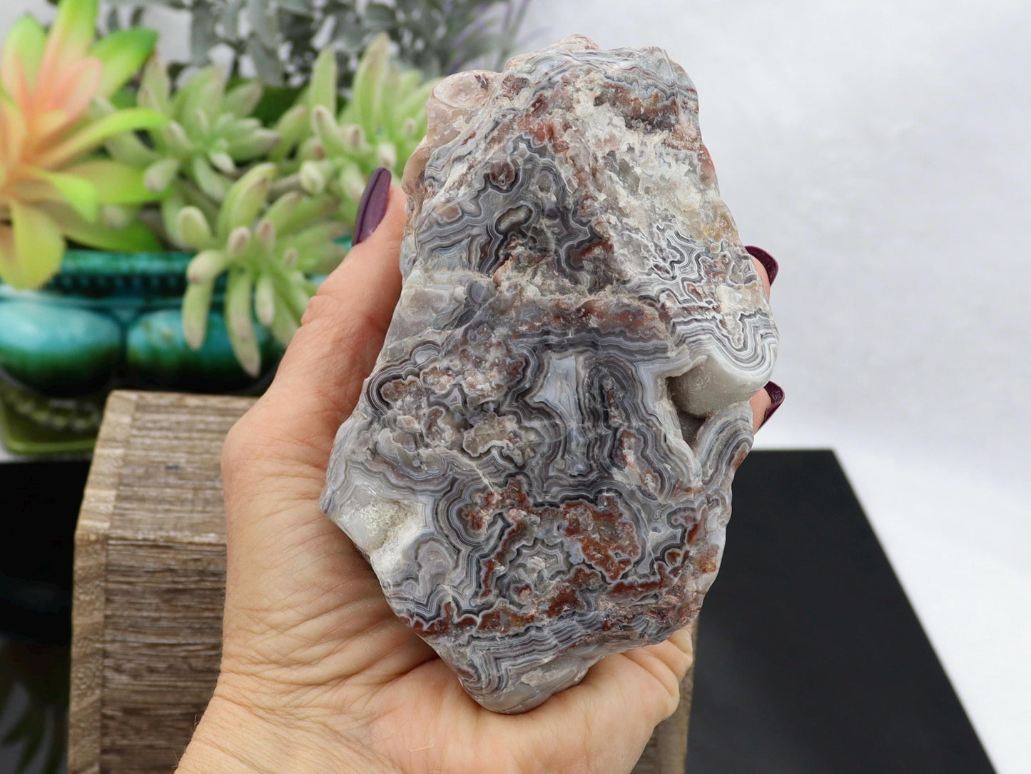 Semi-Polished Mexican Crazy Lace Agate Specimen