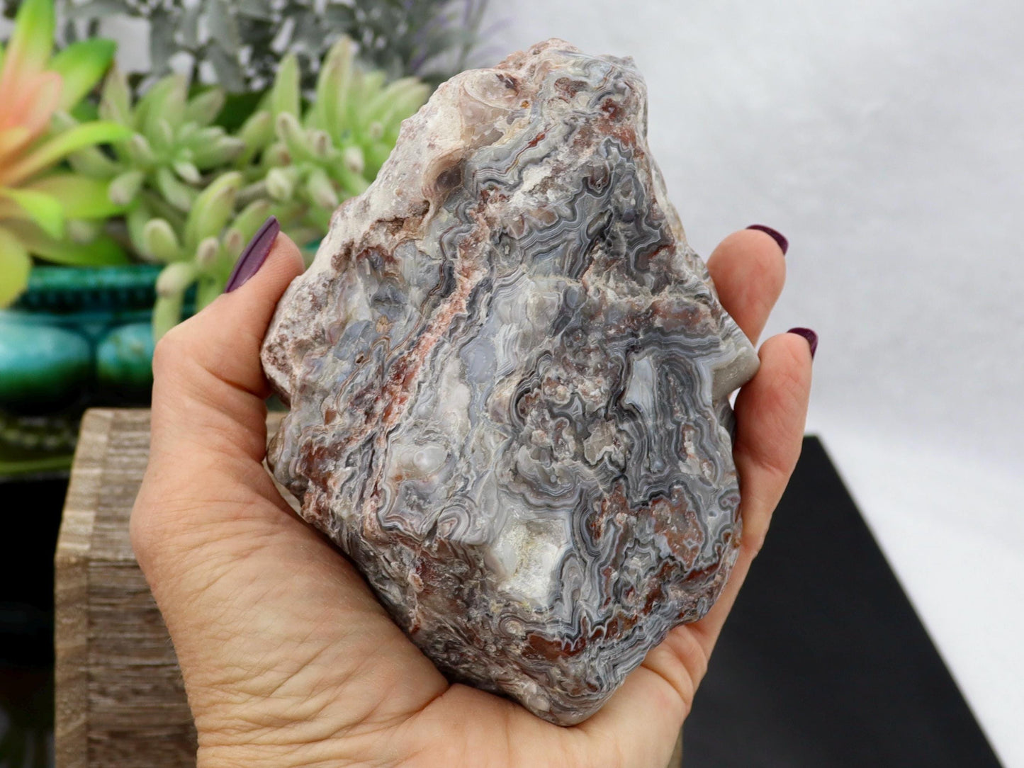 Semi-Polished Mexican Crazy Lace Agate Specimen