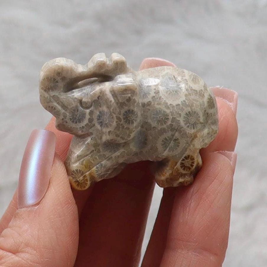 Coral Fossil Jade Crystal Elephant Carving