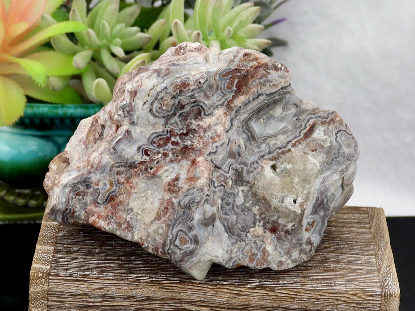 Semi-Polished Mexican Crazy Lace Agate Specimen