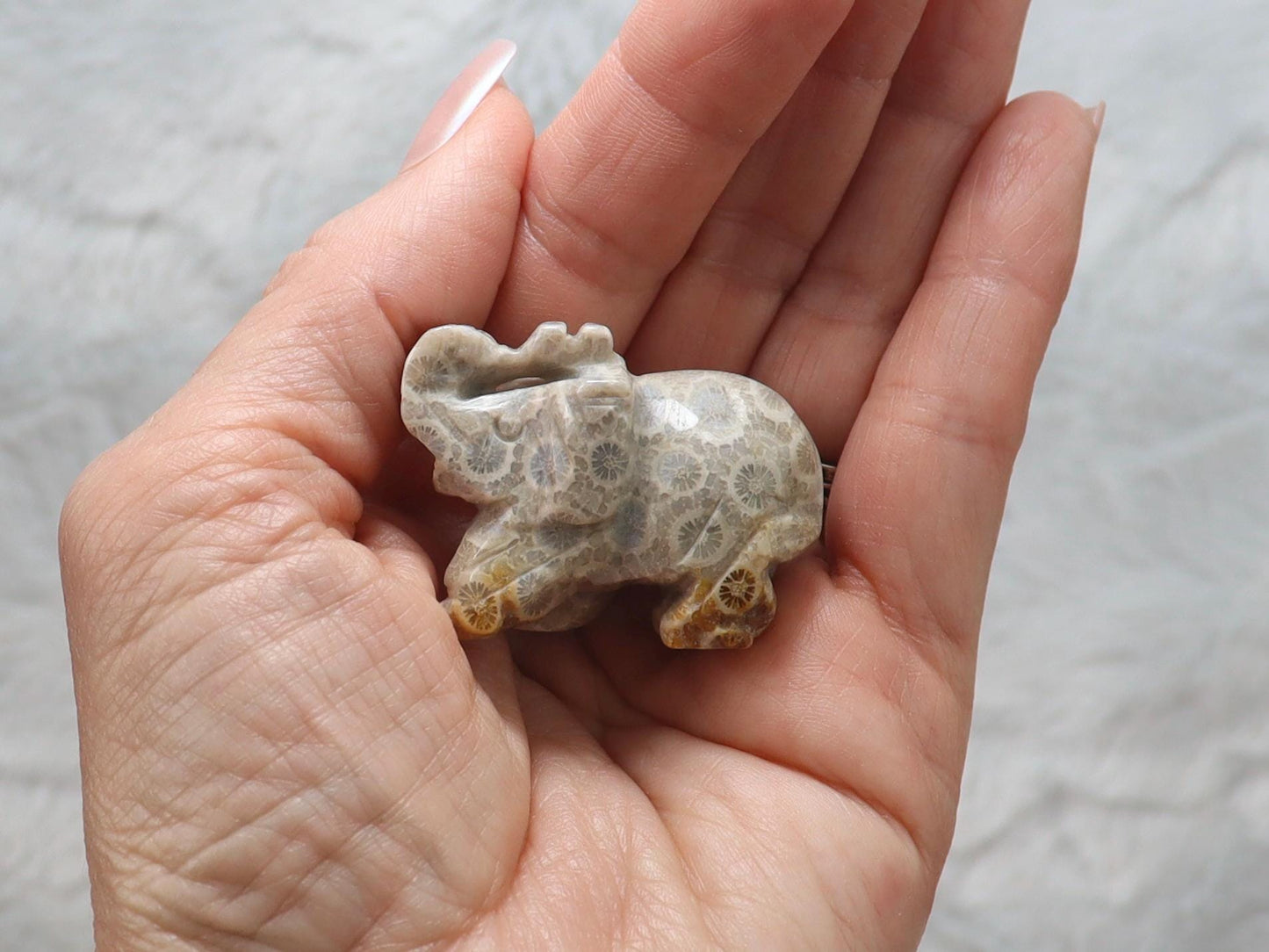 Coral Fossil Jade Crystal Elephant Carving