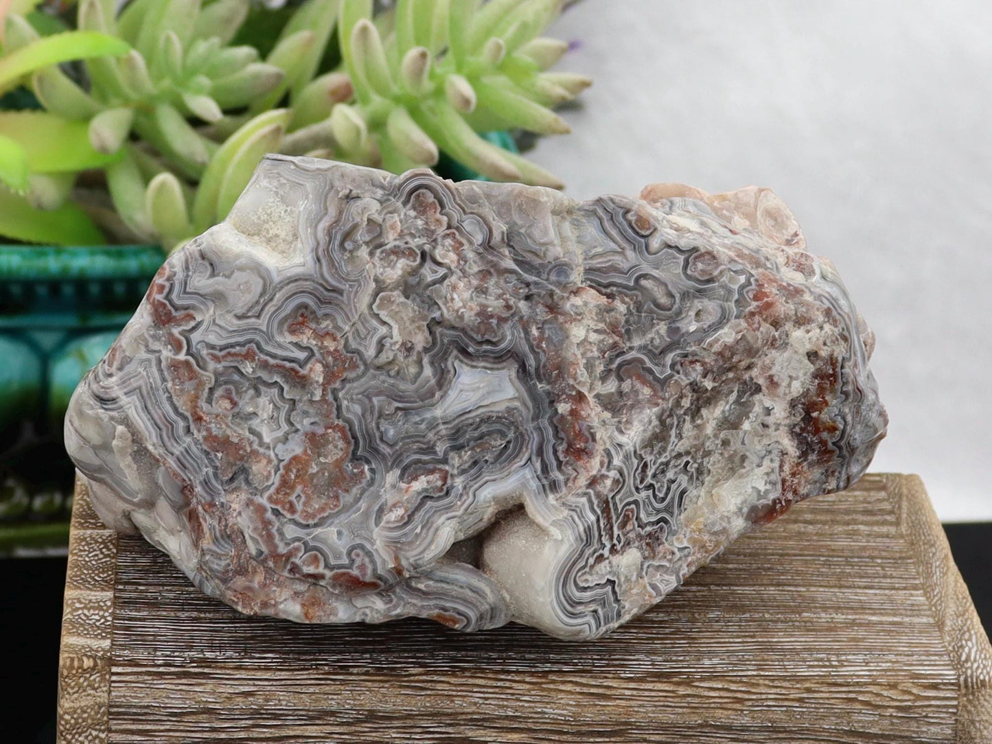 Semi-Polished Mexican Crazy Lace Agate Specimen