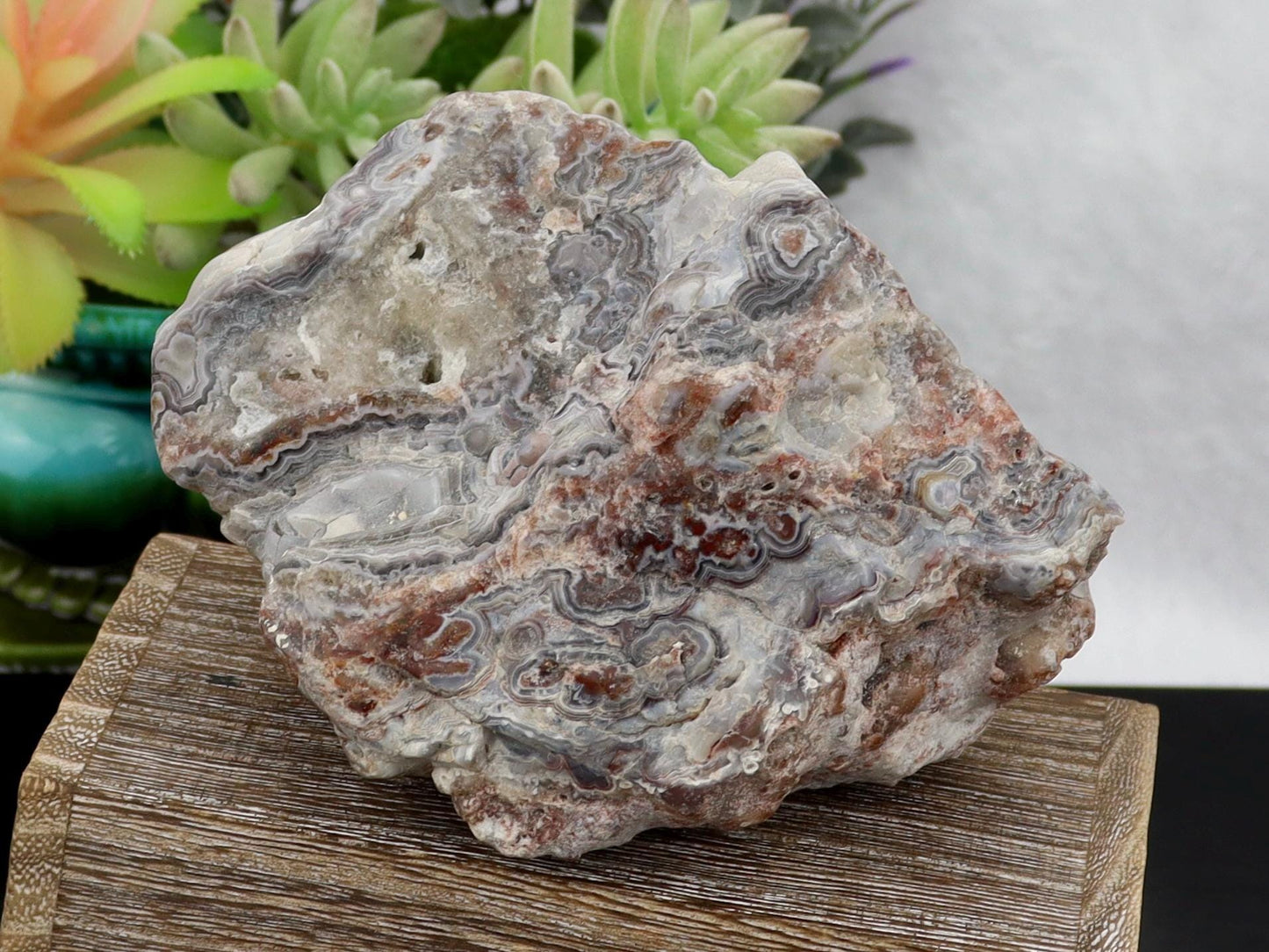 Semi-Polished Mexican Crazy Lace Agate Specimen