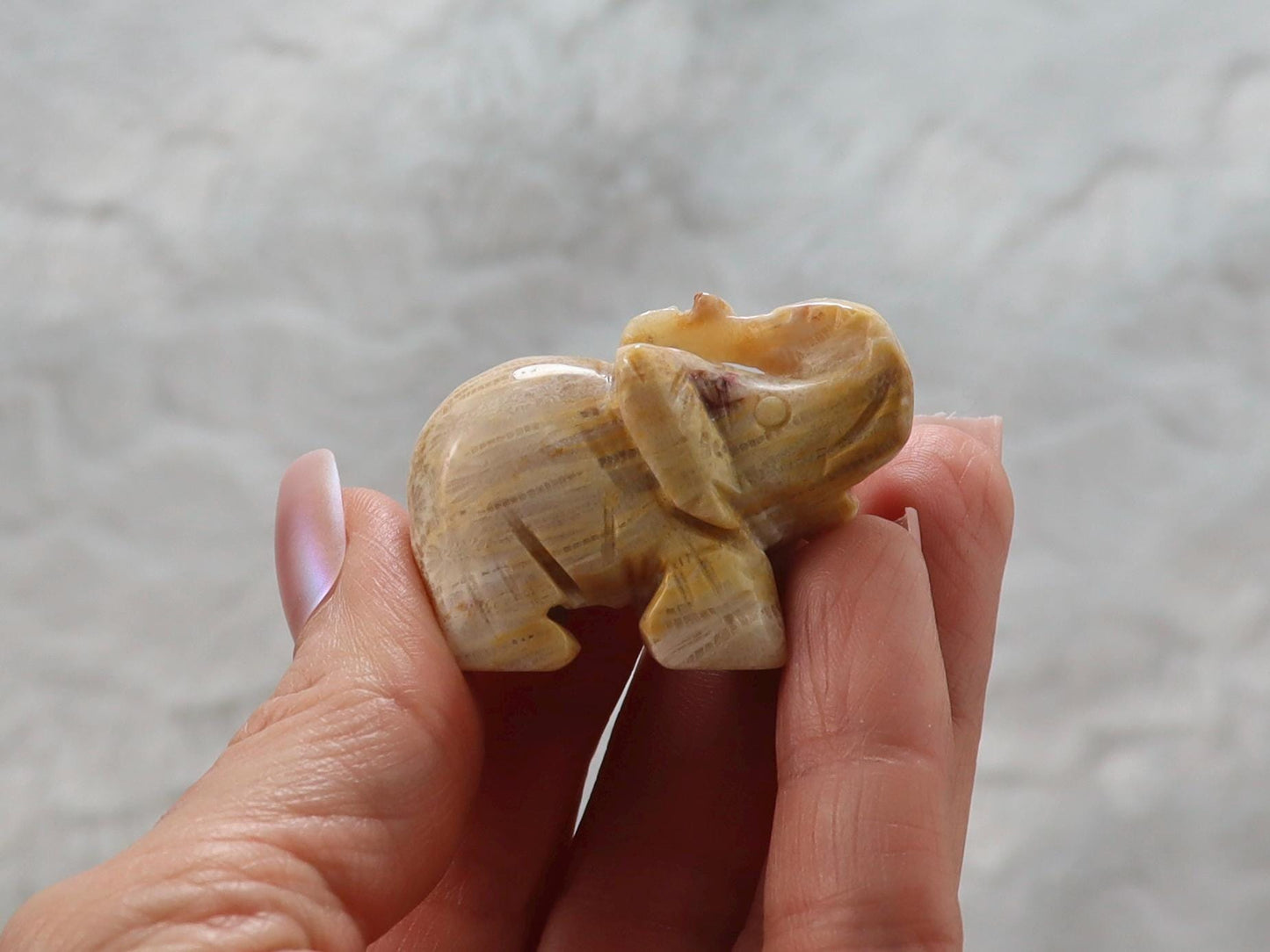 Coral Fossil Jade Crystal Elephant Carving