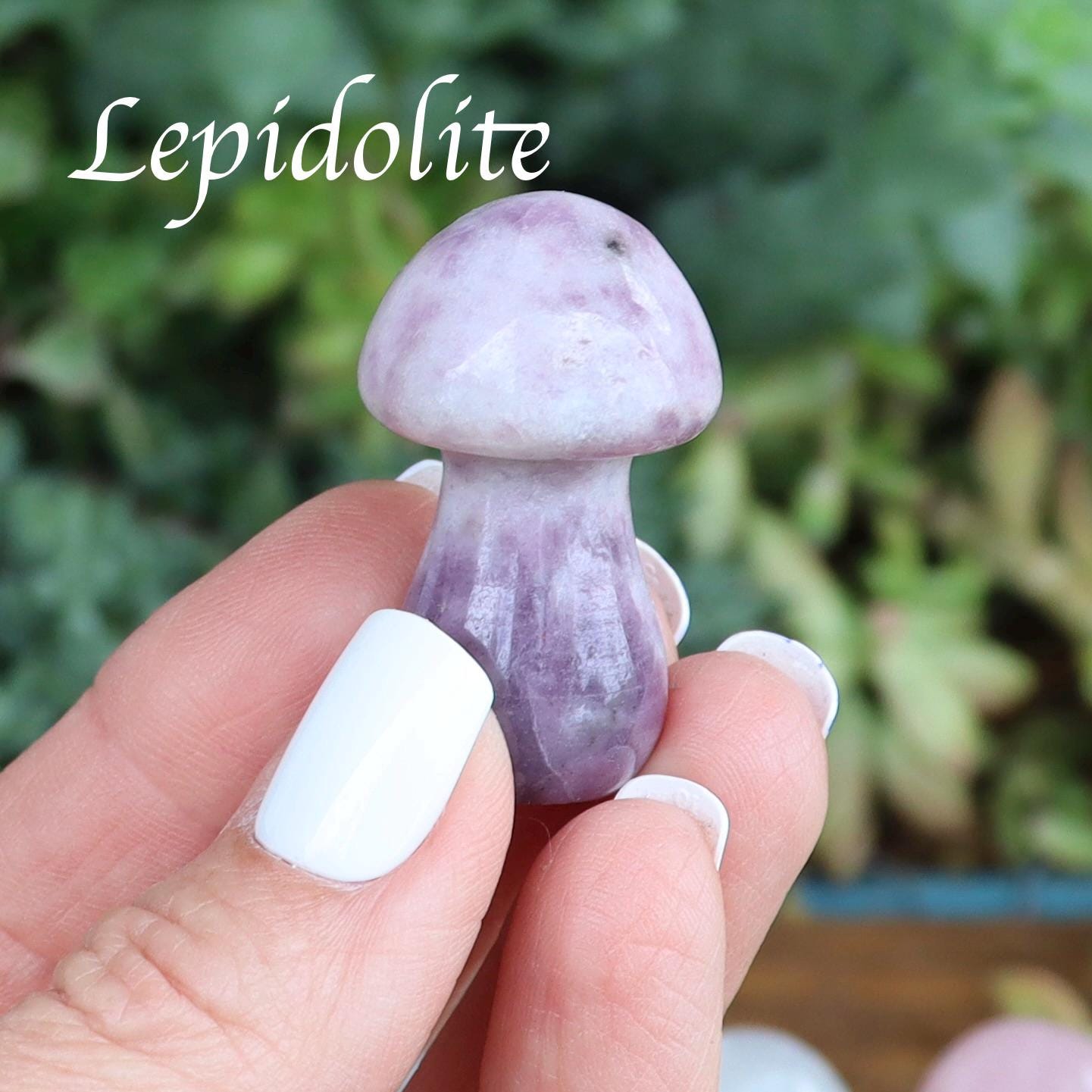 Crystal Mushroom Carvings - Mushroom Decor - Natural Stone Decor