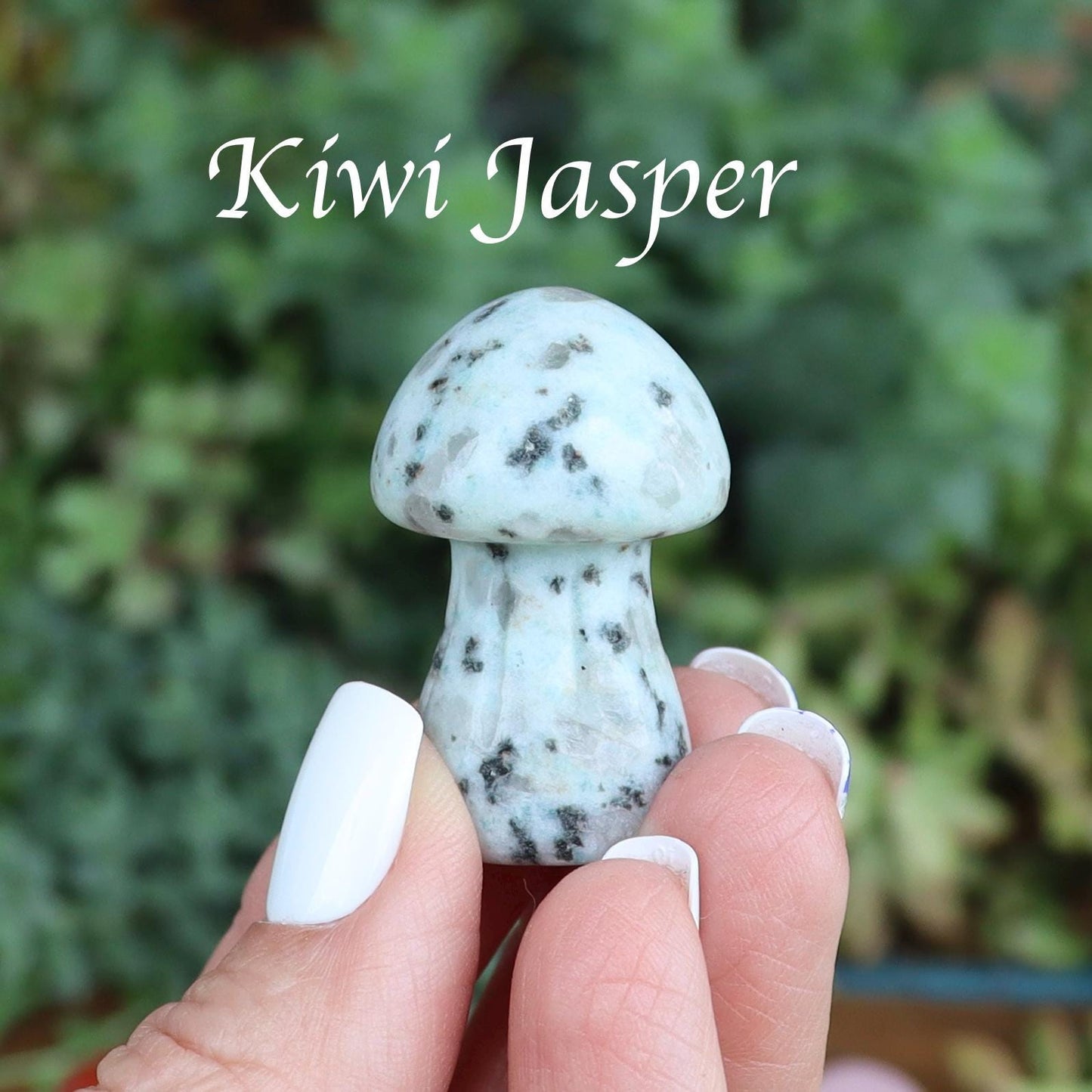 Crystal Mushroom Carvings - Mushroom Decor - Natural Stone Decor