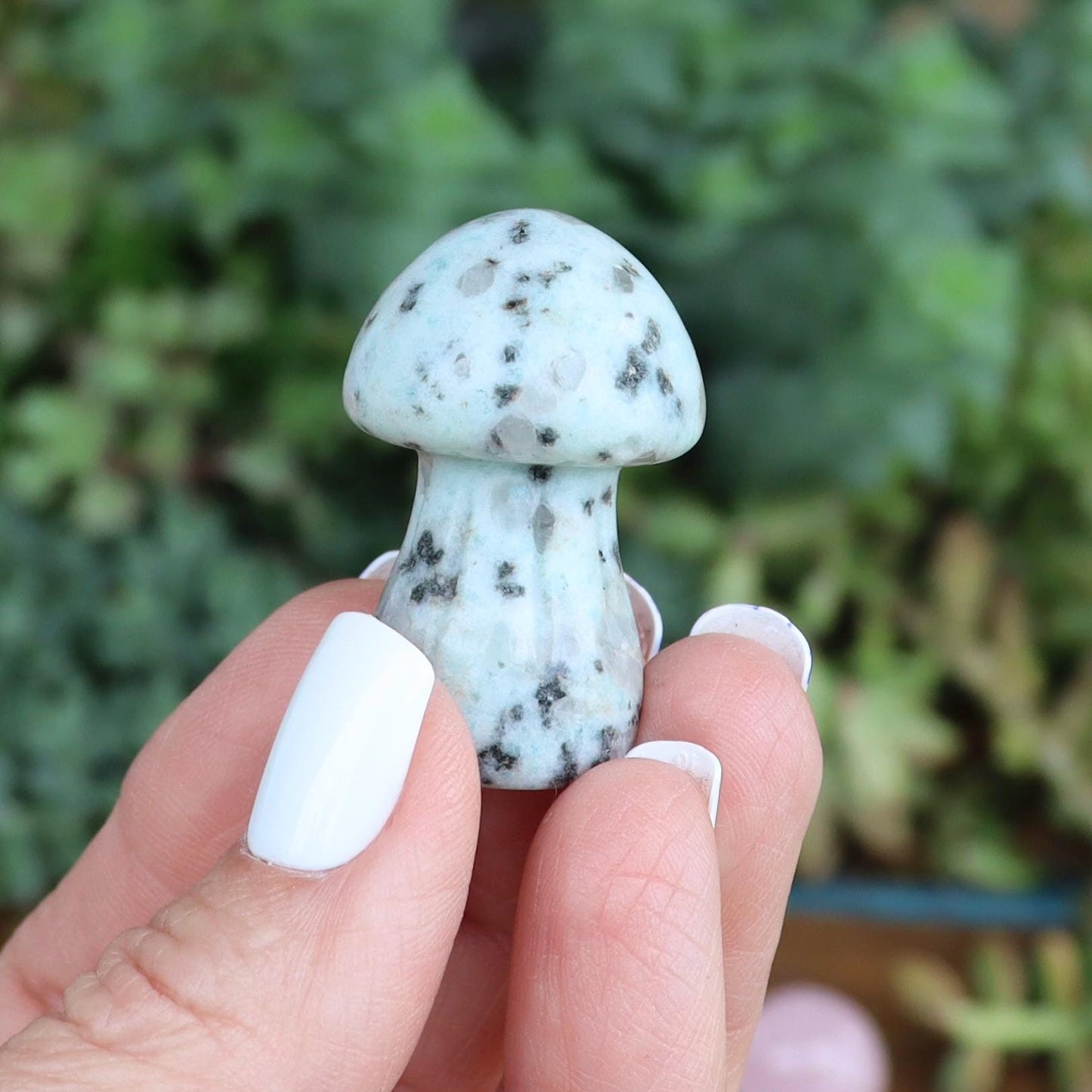 Crystal Mushroom Carvings - Mushroom Decor - Natural Stone Decor