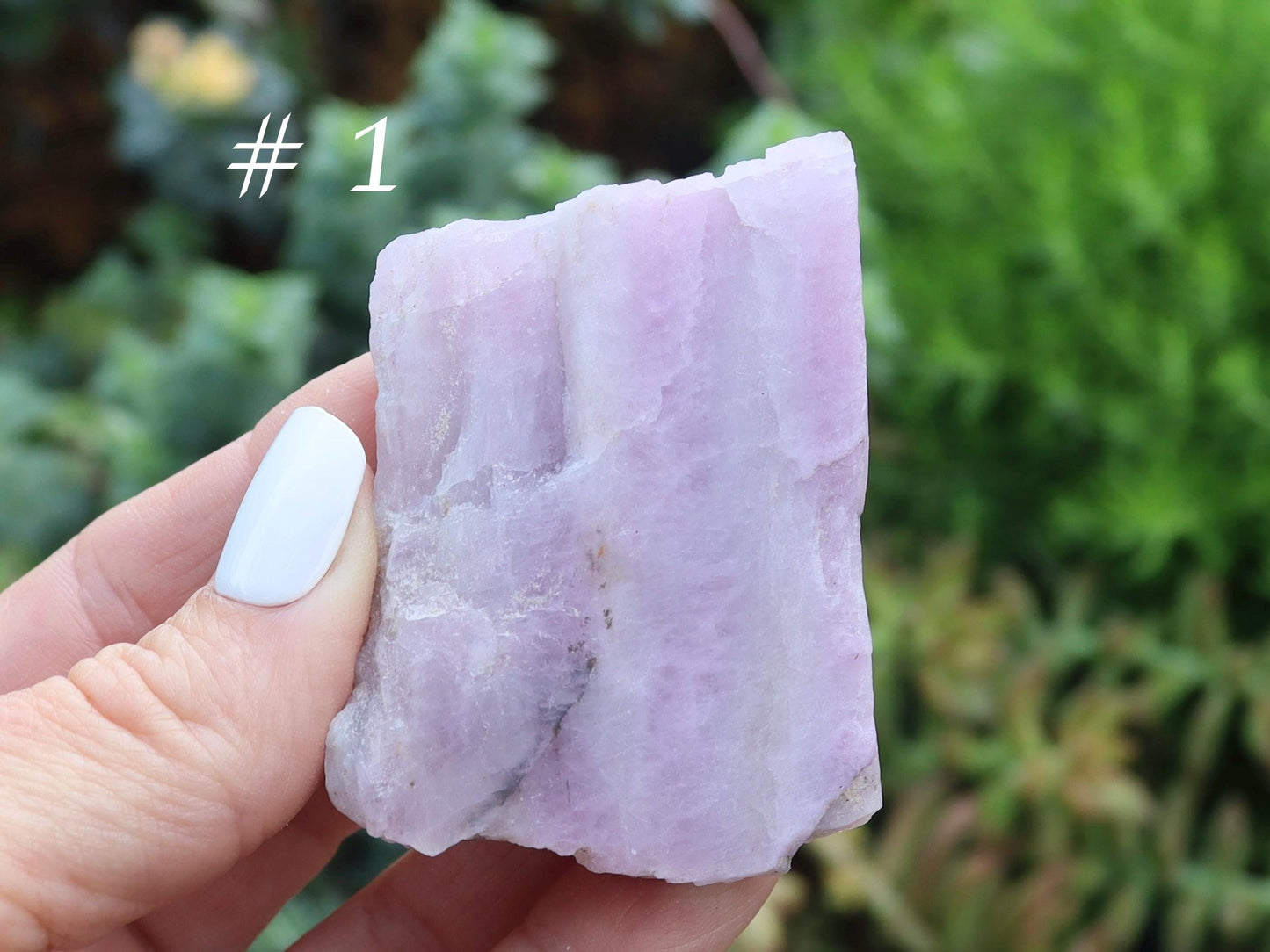Raw Kunzite - Choose your Favorite