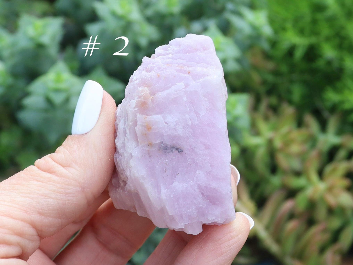 Raw Kunzite - Choose your Favorite