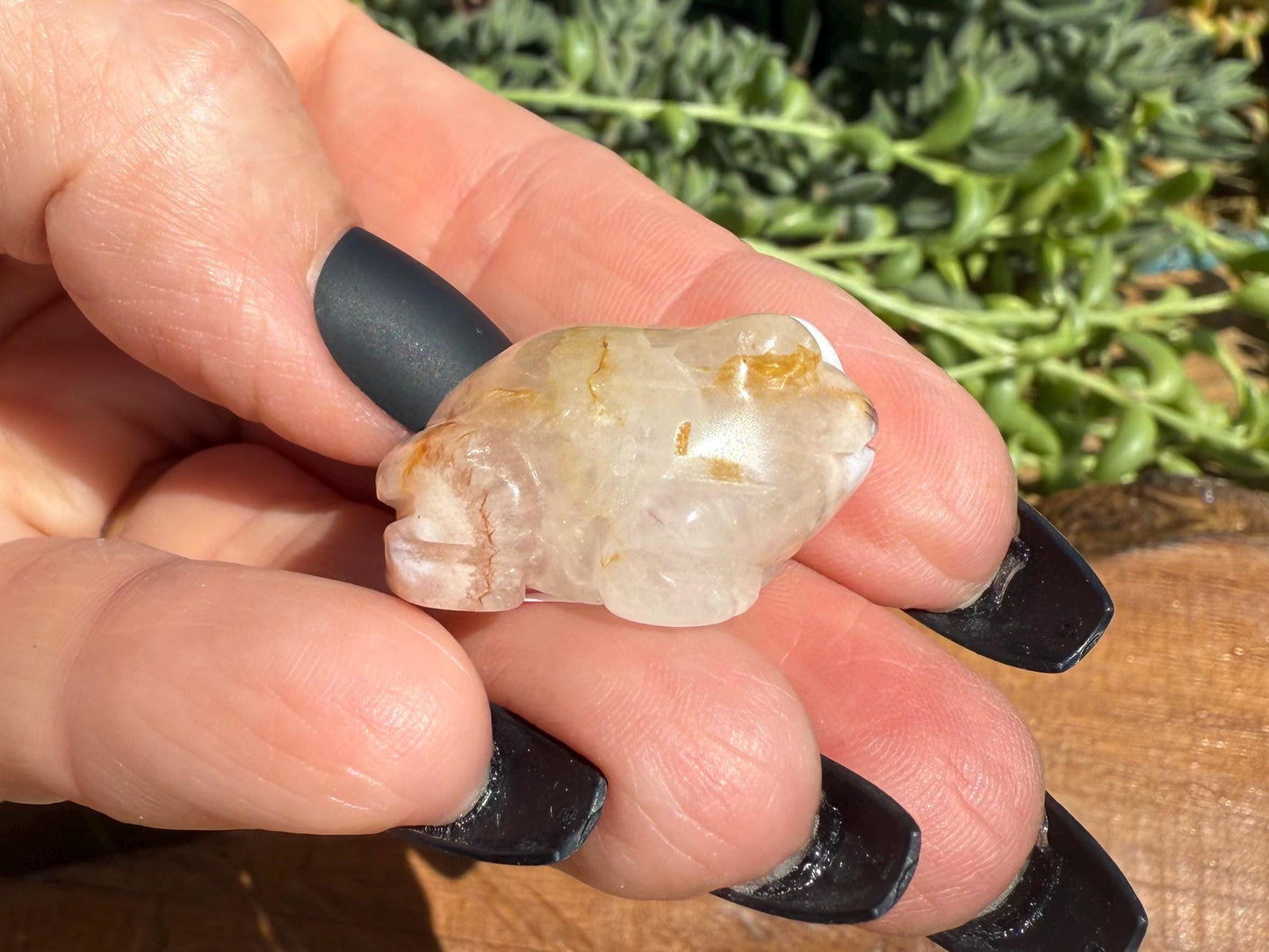 Mini Flower Agate Frog Carving
