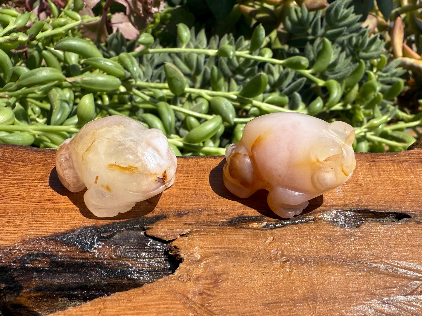 Mini Flower Agate Frog Carving