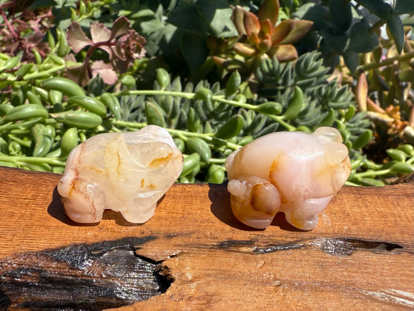 Mini Flower Agate Frog Carving