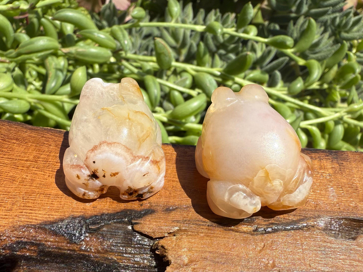 Mini Flower Agate Frog Carving