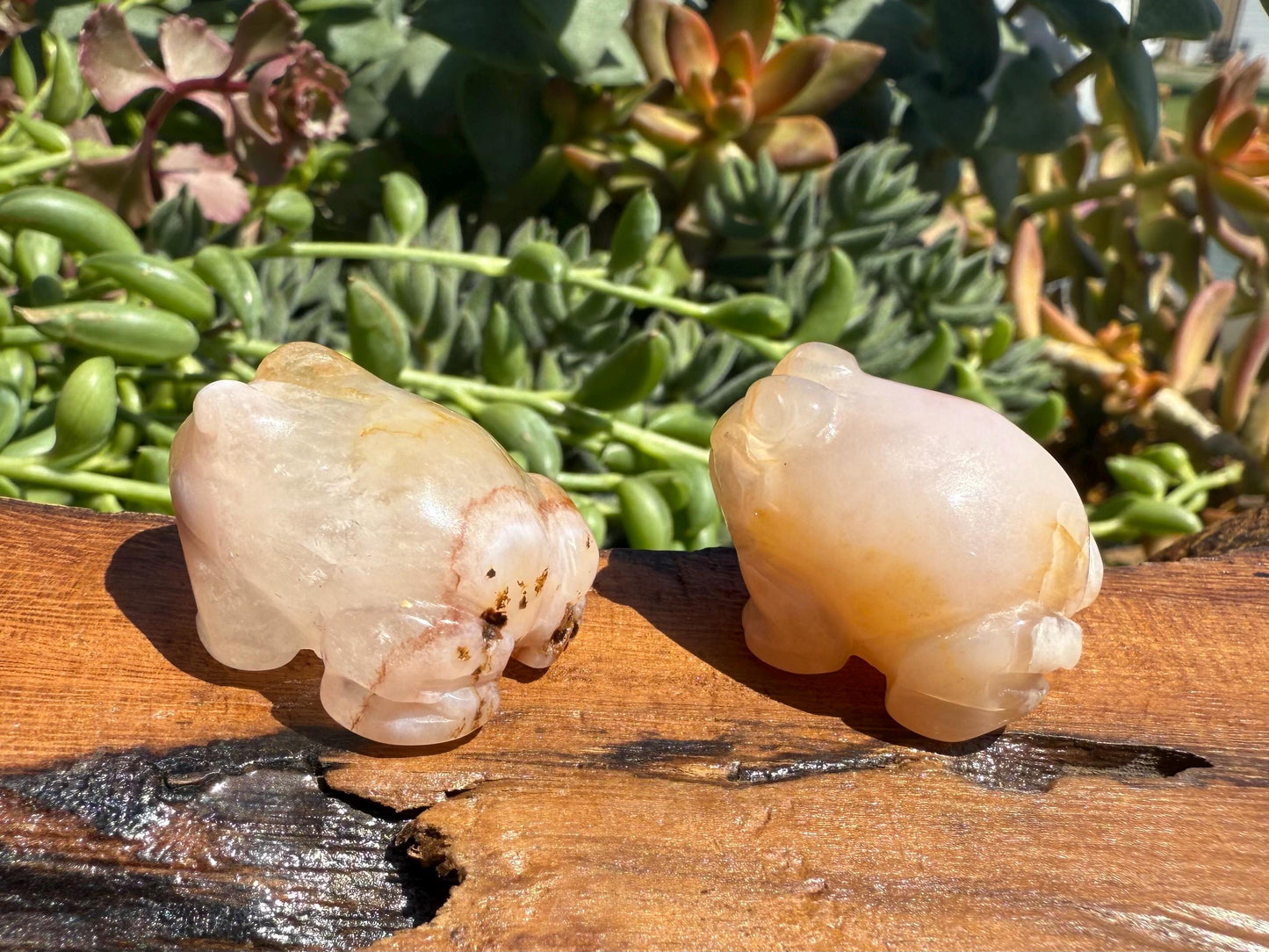 Mini Flower Agate Frog Carving