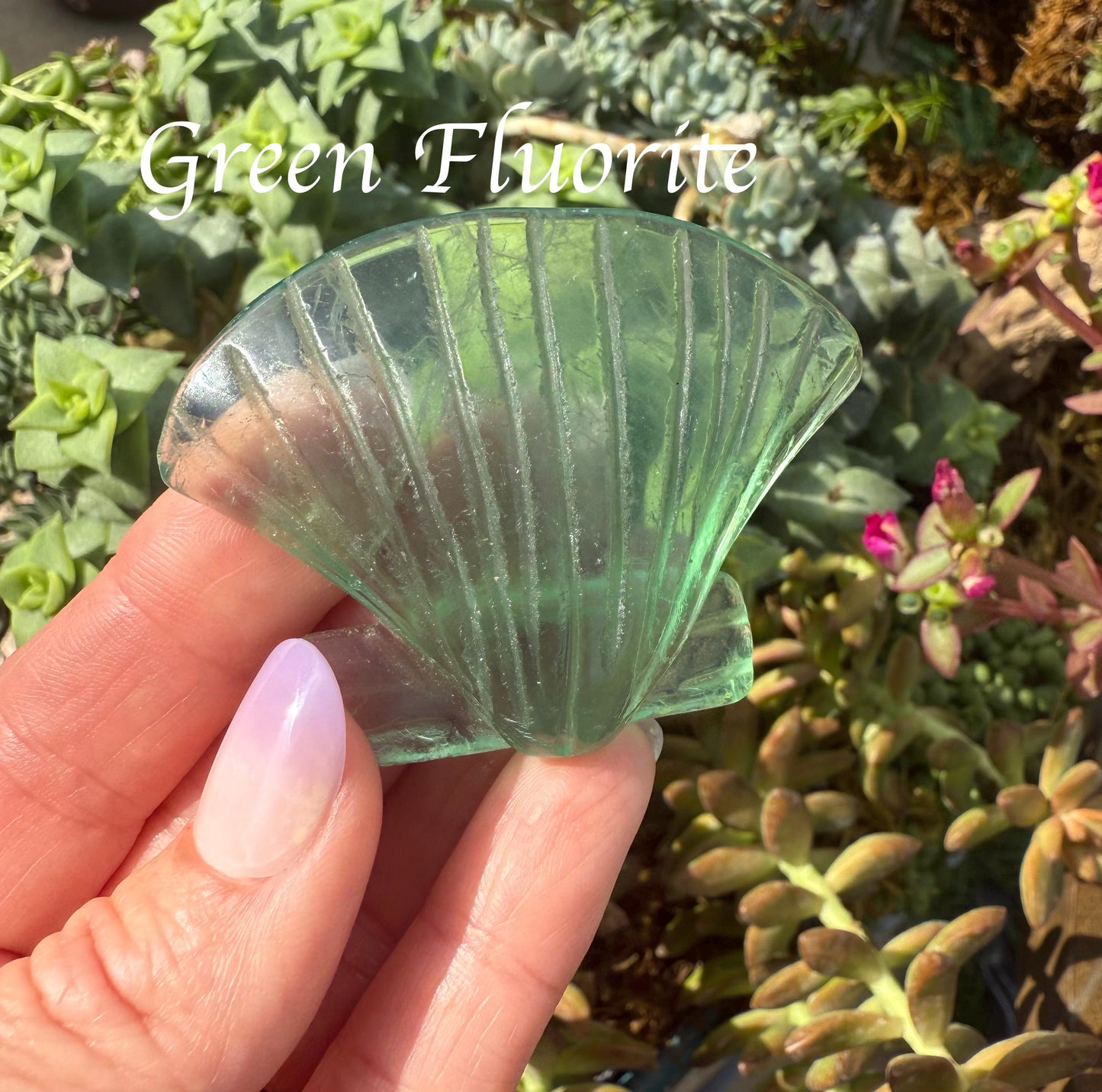 Clam Shell Crystal Carving