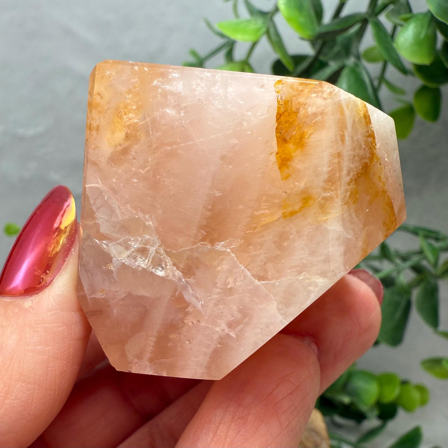 Rose Quartz with Golden Healer Crystal Free Form - Brazilian Rose Quartz