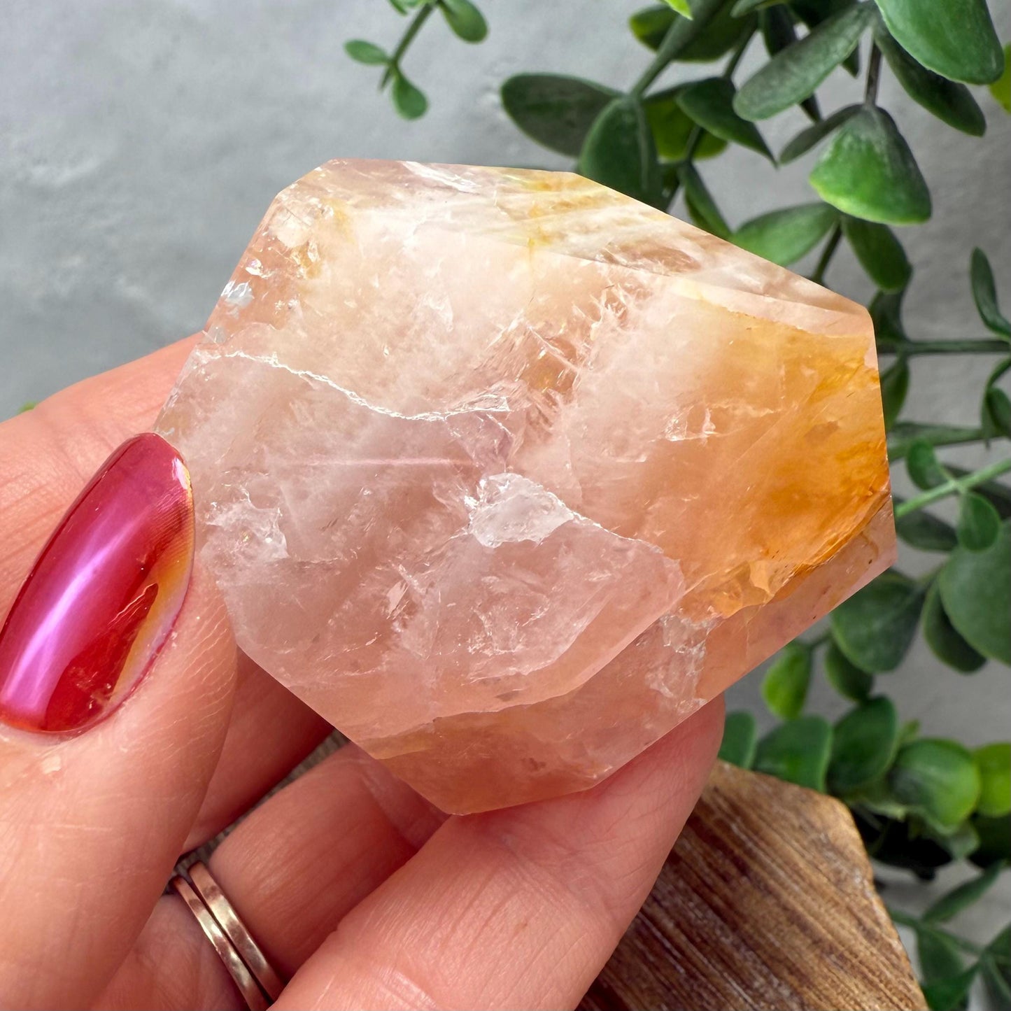 Rose Quartz with Golden Healer Crystal Free Form - Brazilian Rose Quartz