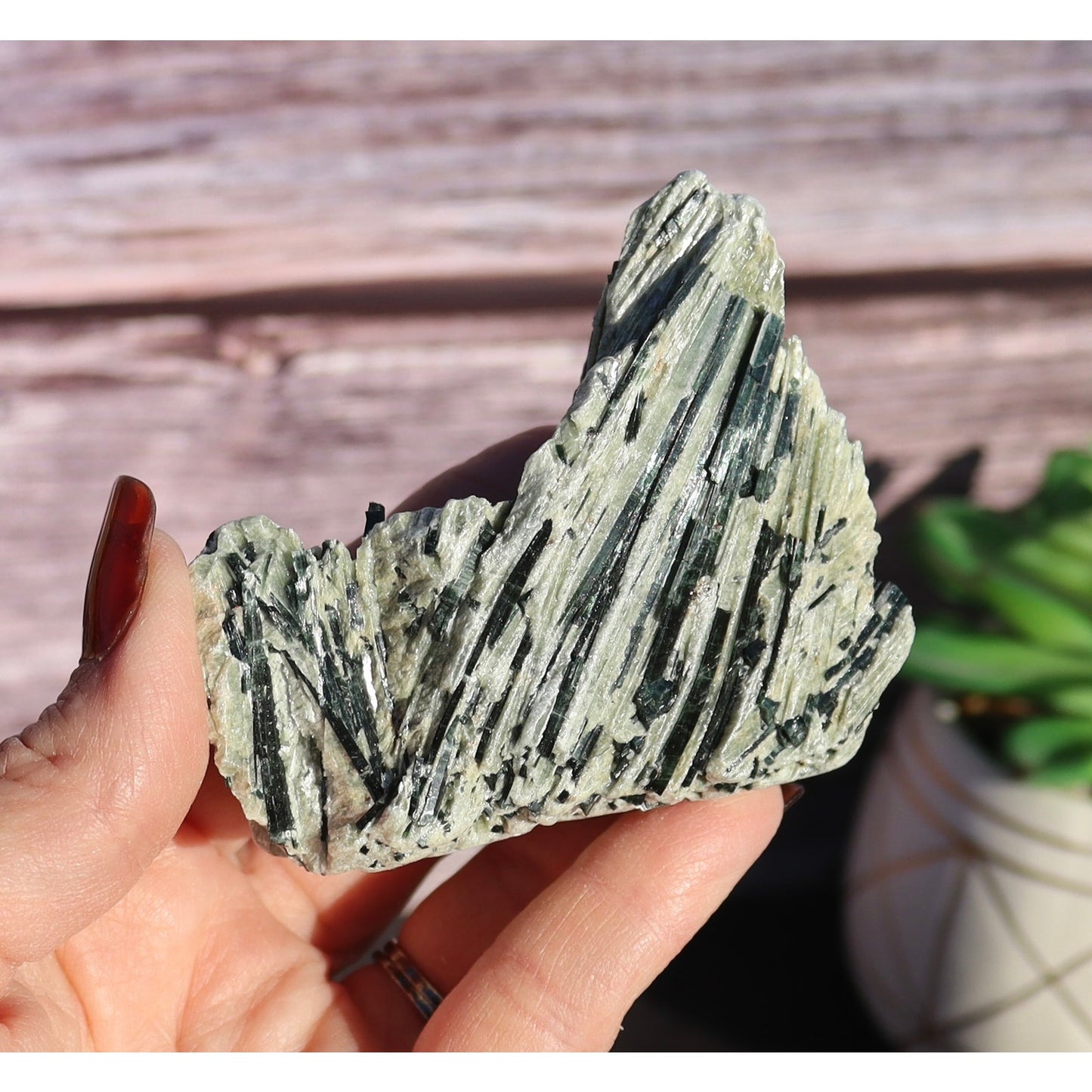 Actinolite Crystals in Matrix Specimen