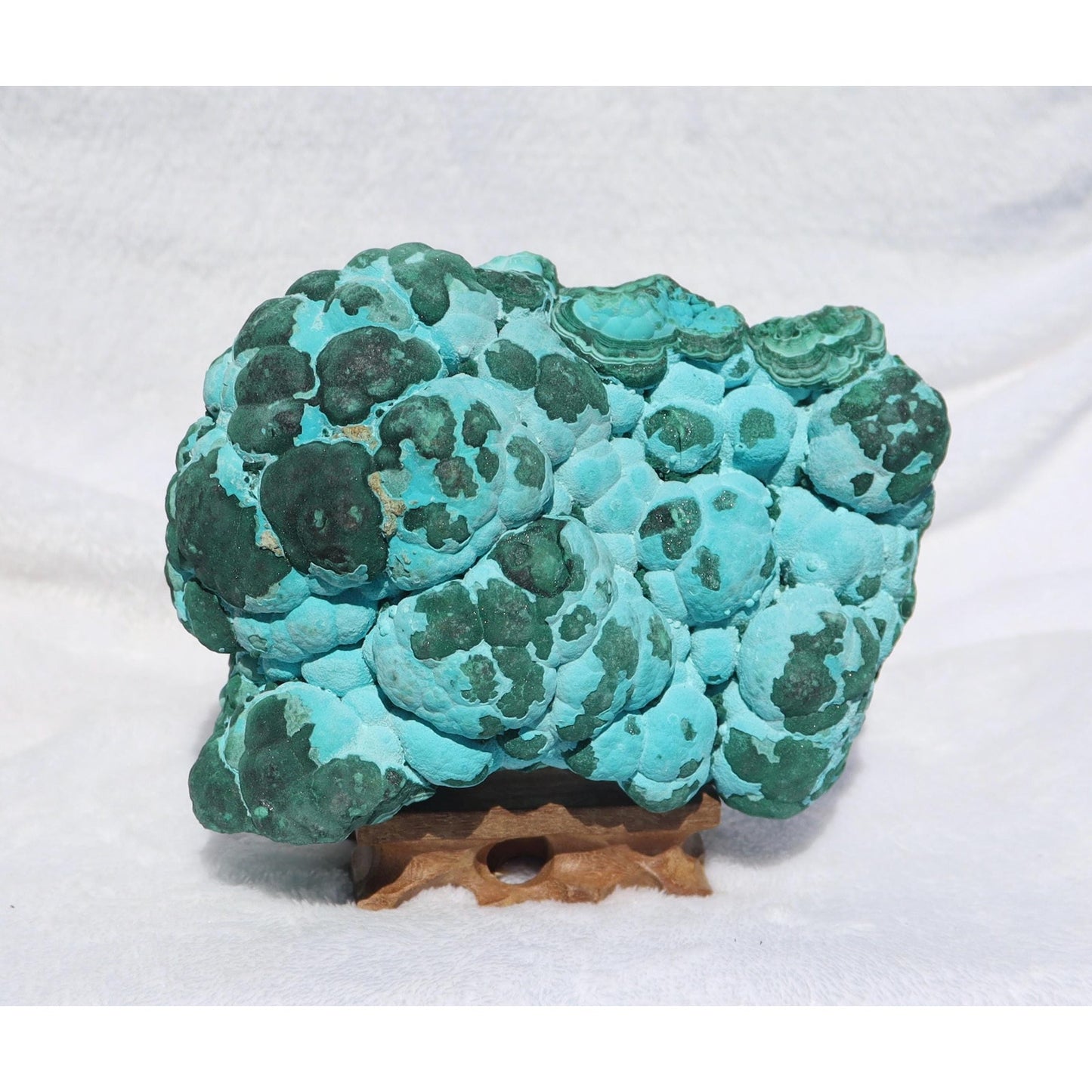 Botryoidal Chrysocolla after Malachite Specimen, Malacholla