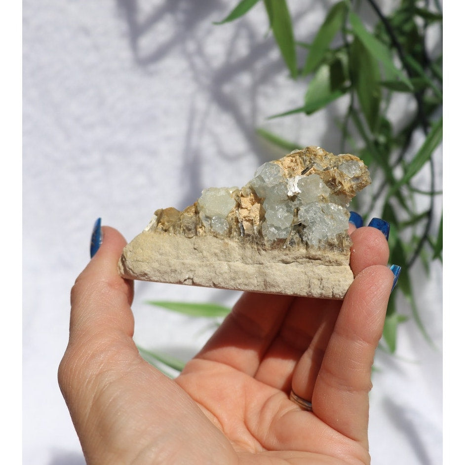 Aquamarine and Muscovite Specimen