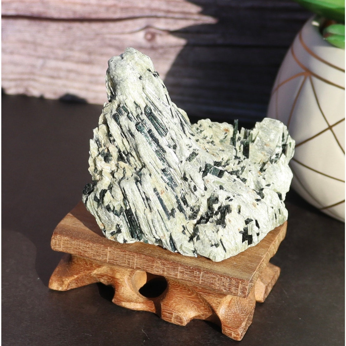 Actinolite Crystals in Matrix Specimen