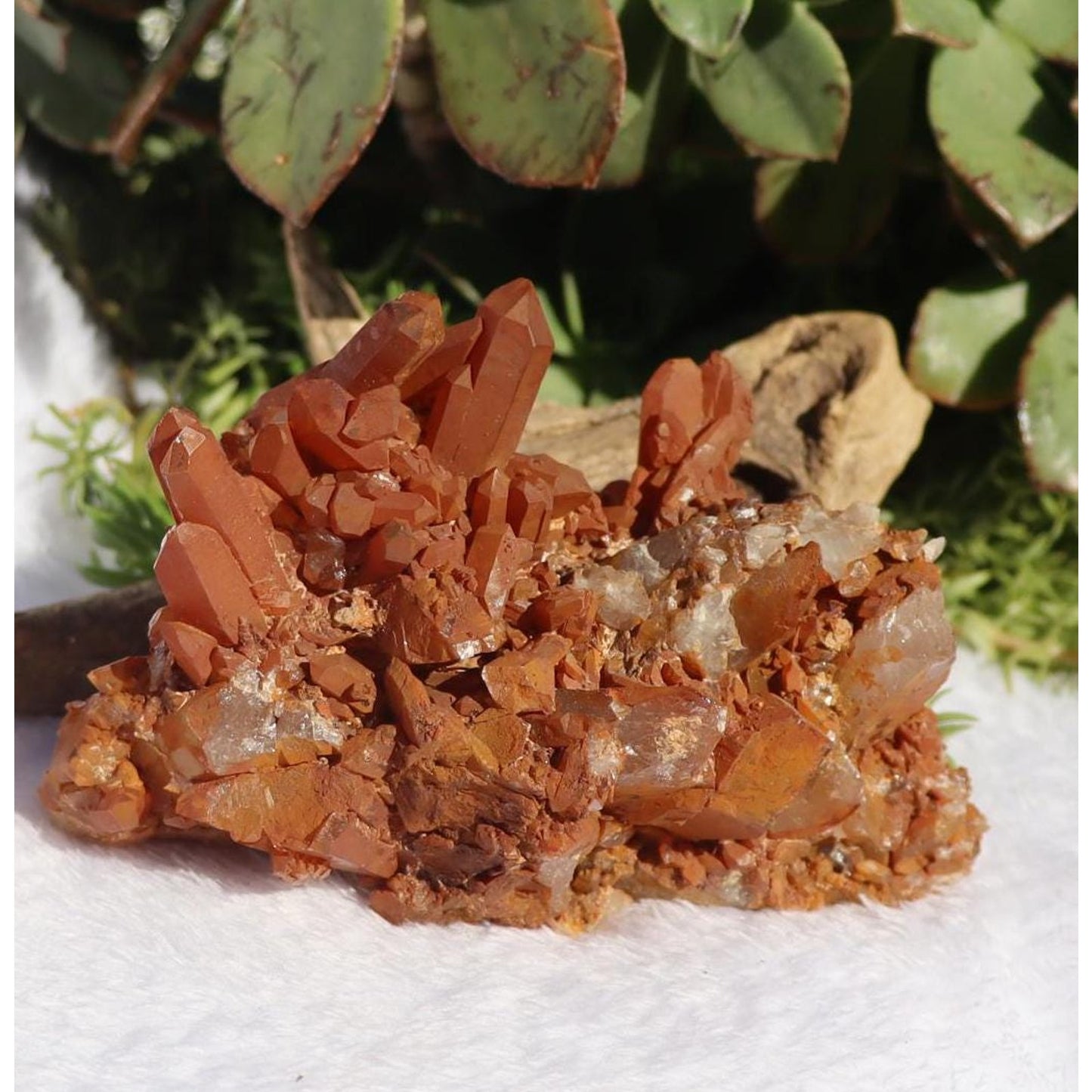 Tangerine Quartz Crystal Cluster from Brazil