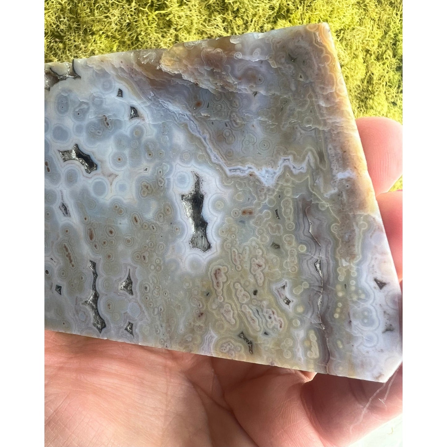Ocean Jasper Slab 6th Vein