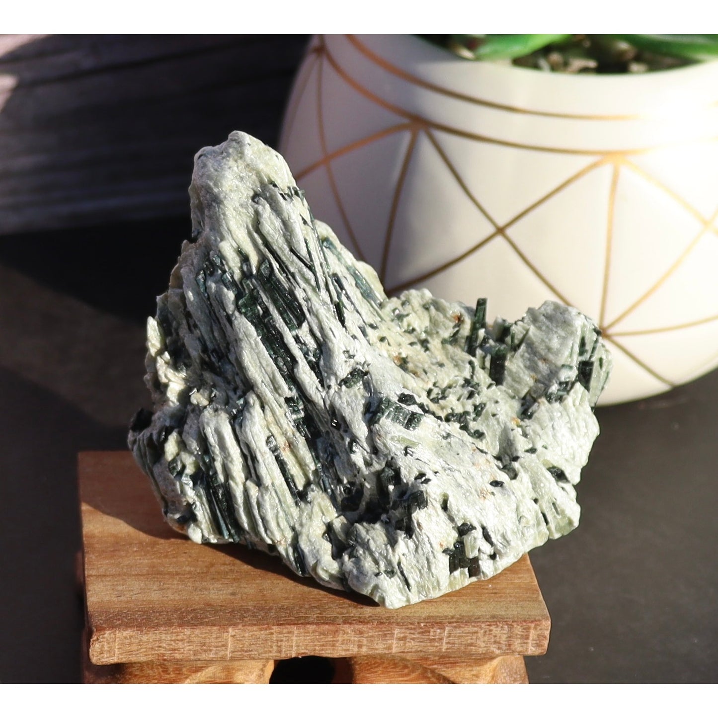 Actinolite Crystals in Matrix Specimen