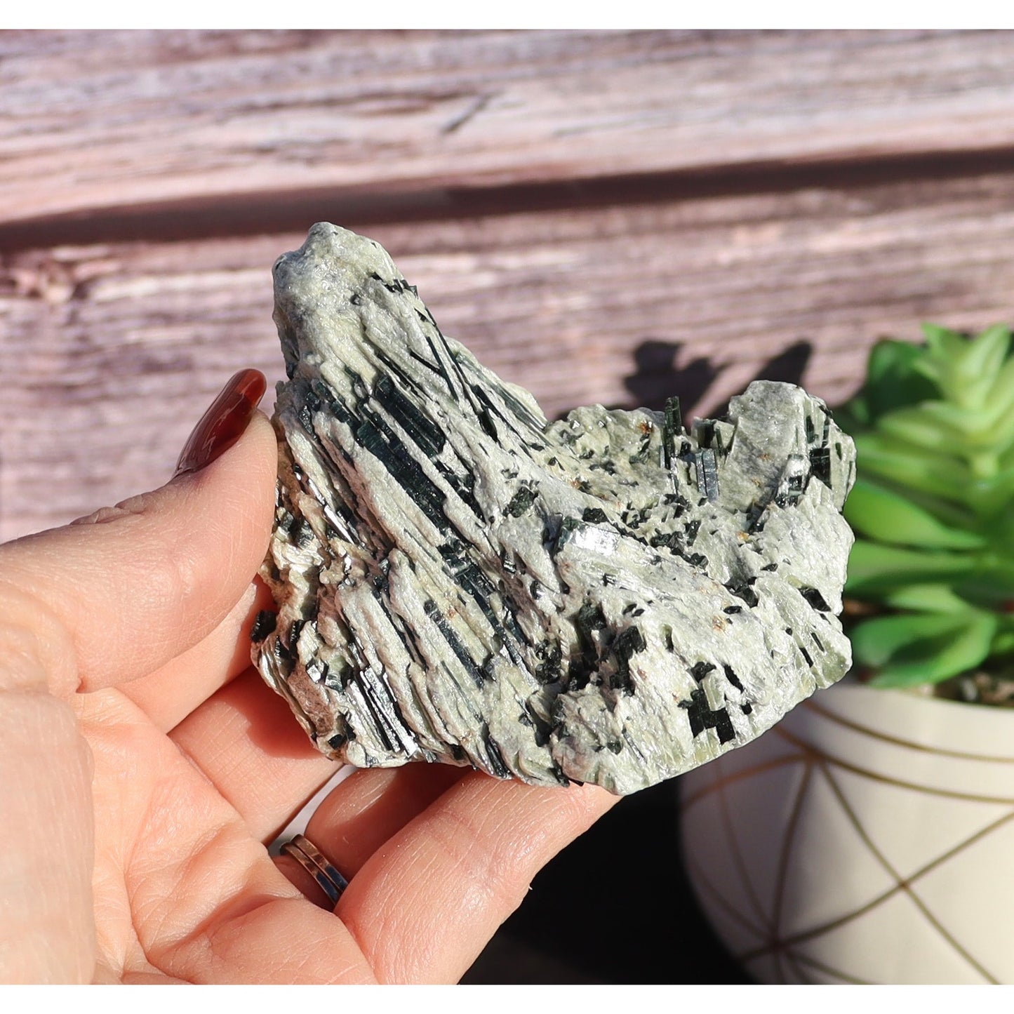 Actinolite Crystals in Matrix Specimen