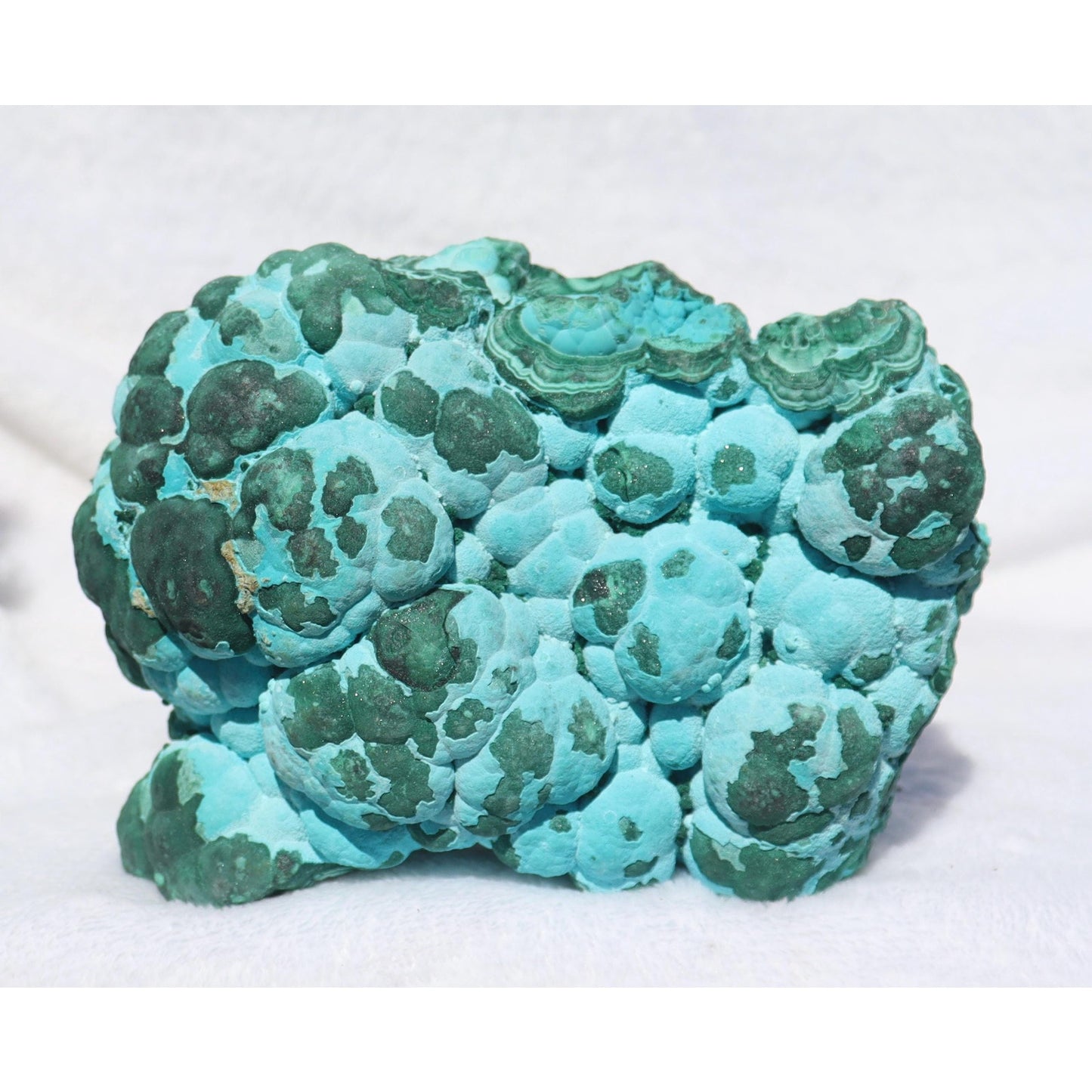 Botryoidal Chrysocolla after Malachite Specimen, Malacholla