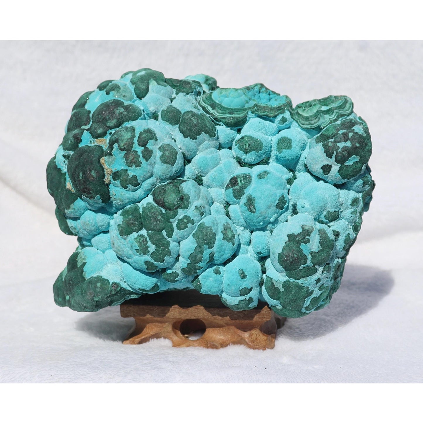 Botryoidal Chrysocolla after Malachite Specimen, Malacholla