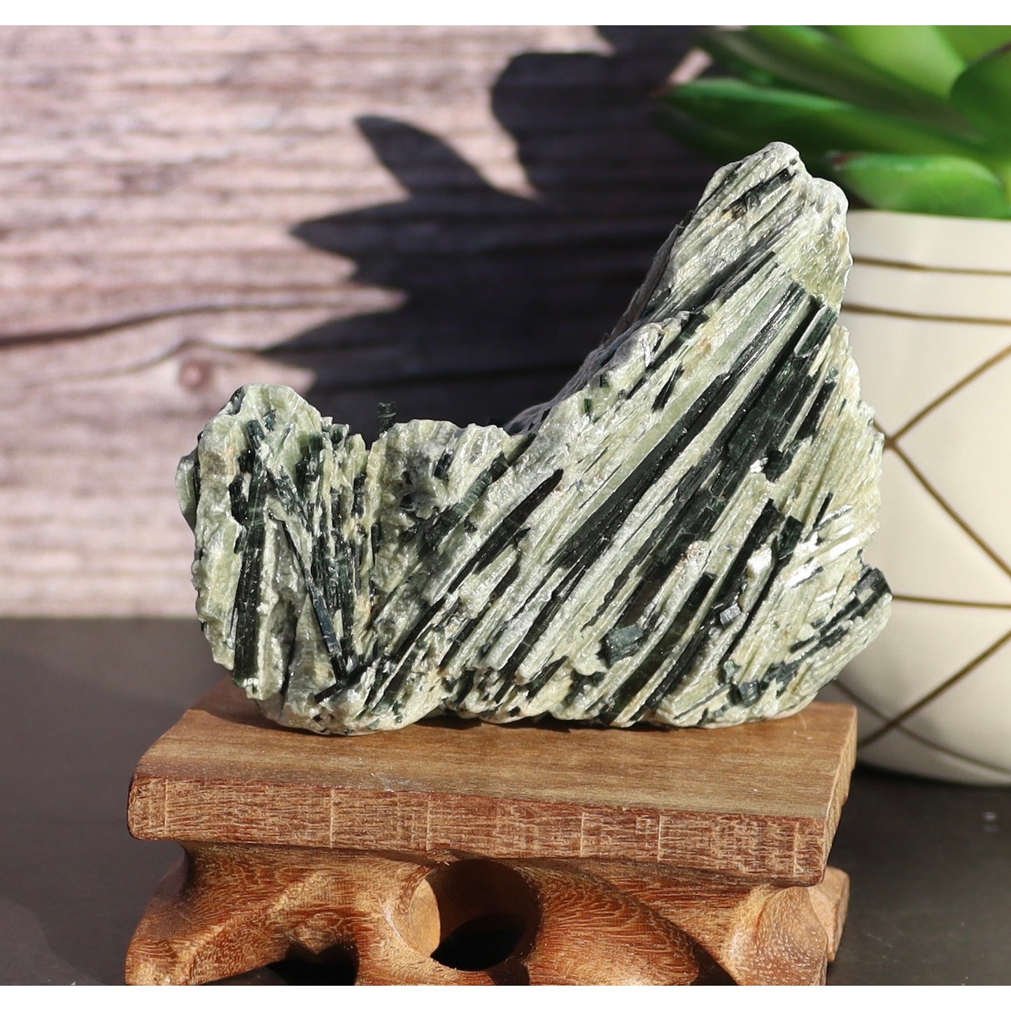 Actinolite Crystals in Matrix Specimen
