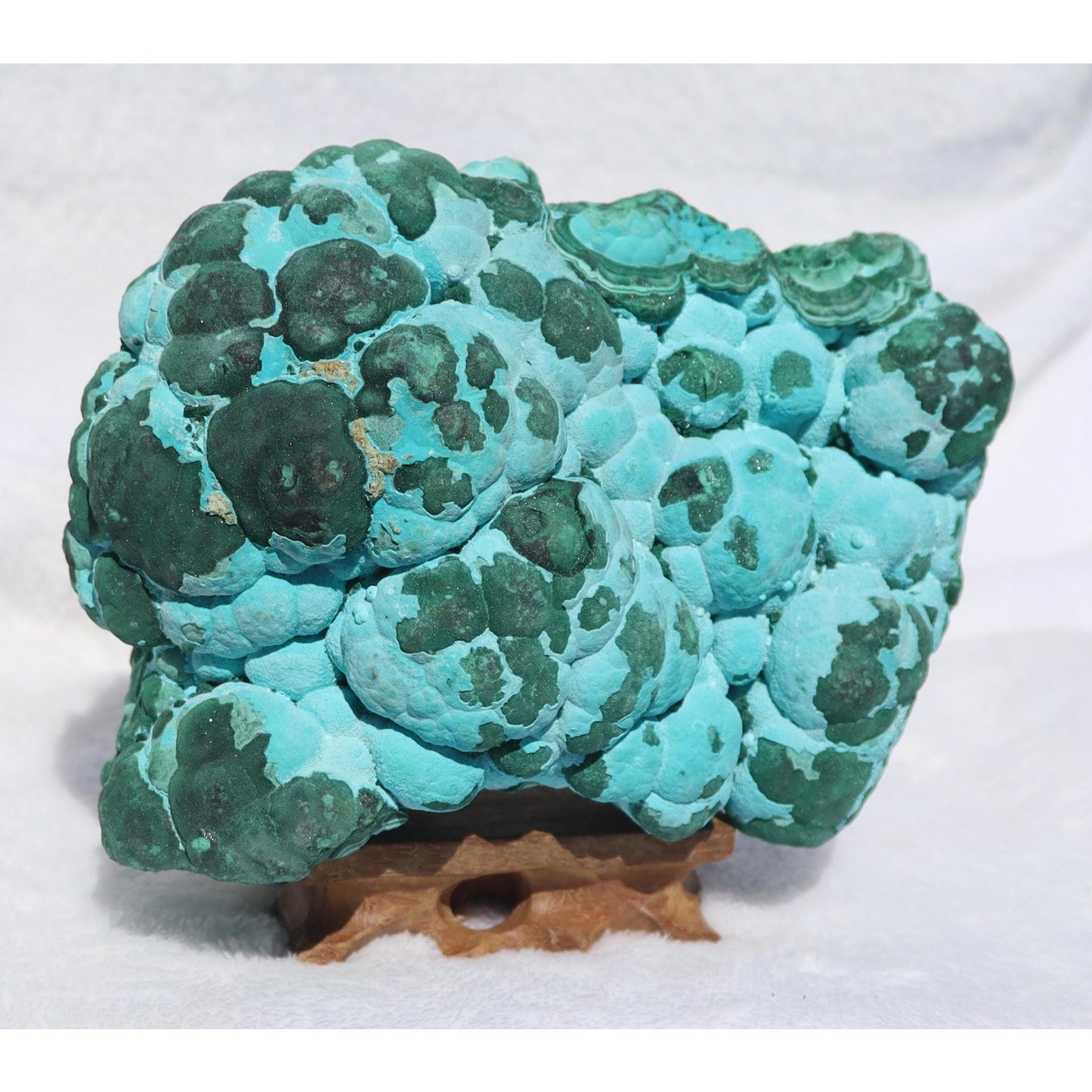 Botryoidal Chrysocolla after Malachite Specimen, Malacholla