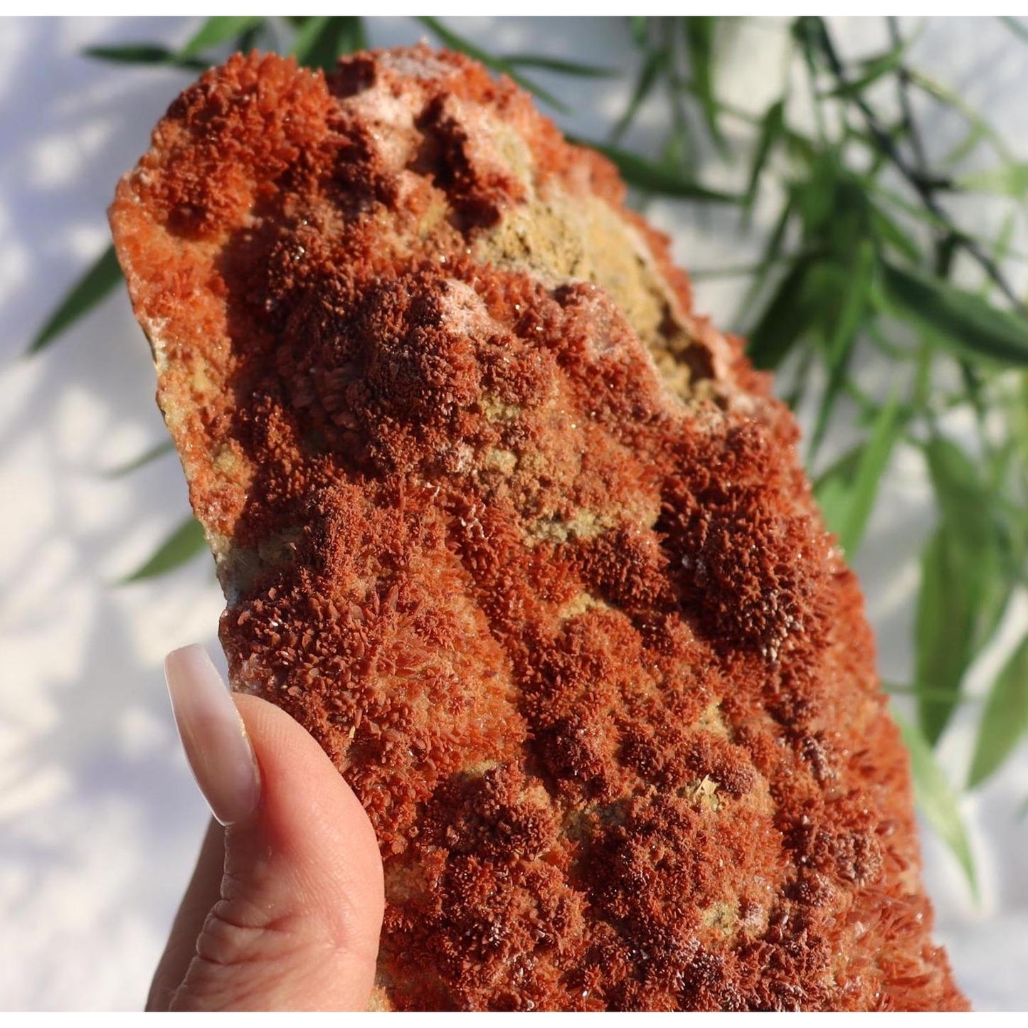 Large Red Calcite Specimen