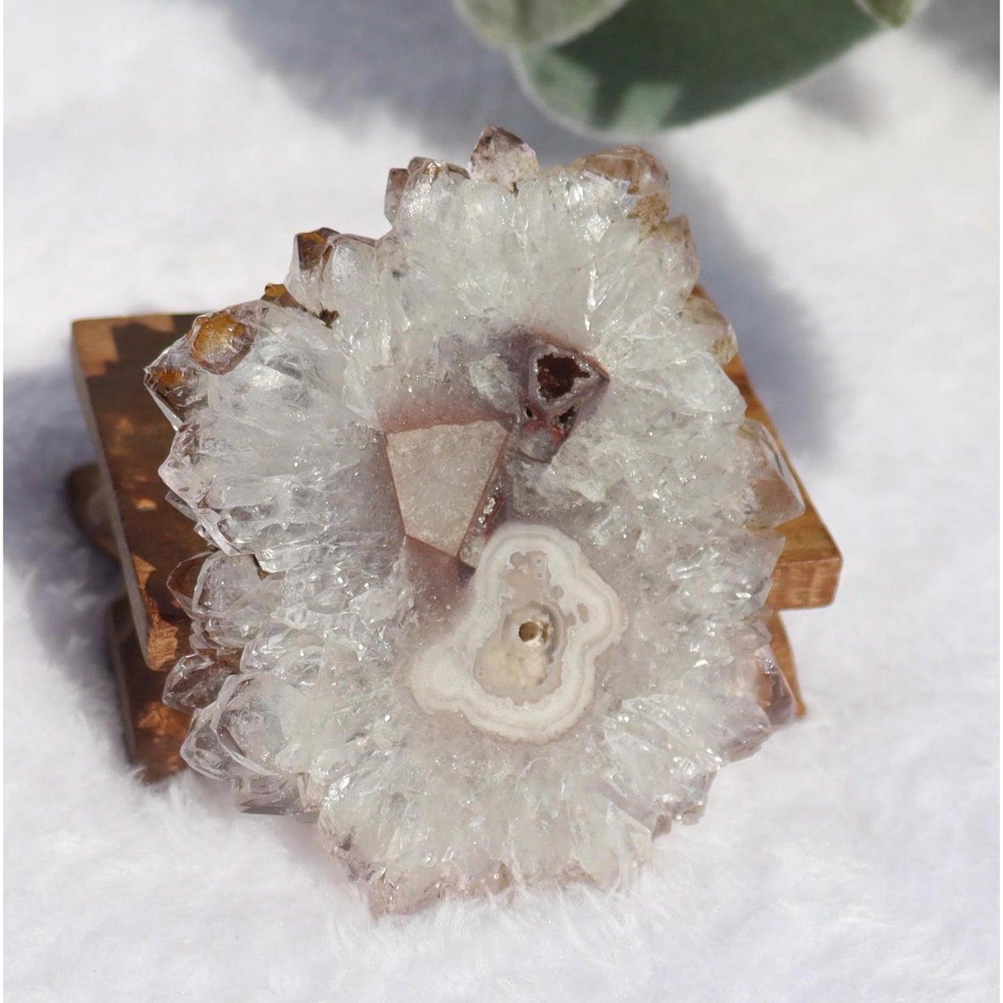 Amethyst Stalactite Slice from Uruguay