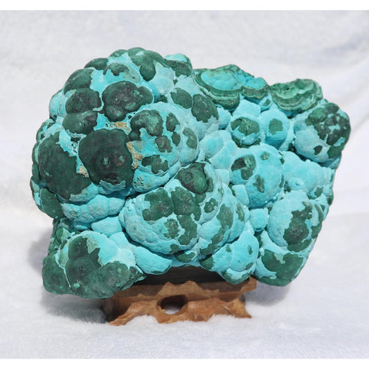 Botryoidal Chrysocolla after Malachite Specimen, Malacholla