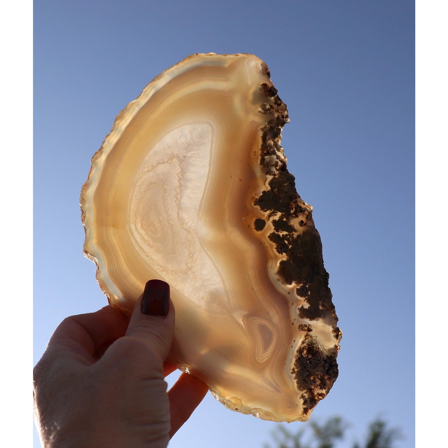 Banded Agate Slice with Moss Agate Edge